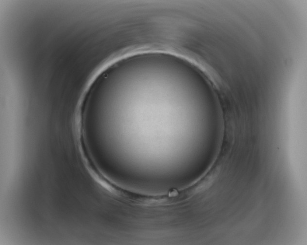 X0000115541519200911061450