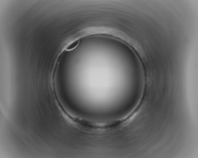 X0000115541521200911061450