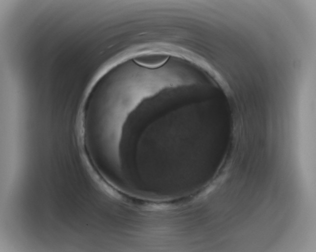 X0000115541522200911061450