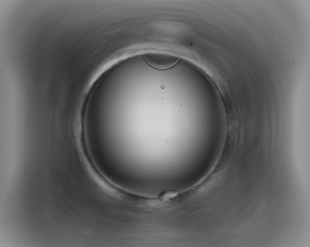 X0000115541523200911061450