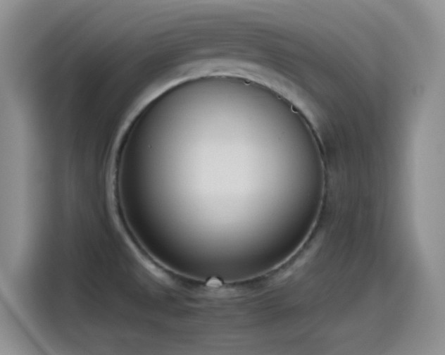 X0000115541525200911061450