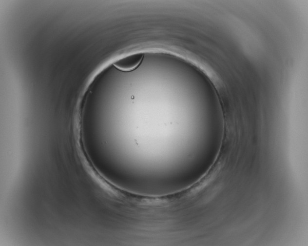 X0000115541526200911061450