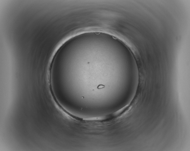 X0000115541527200911061450