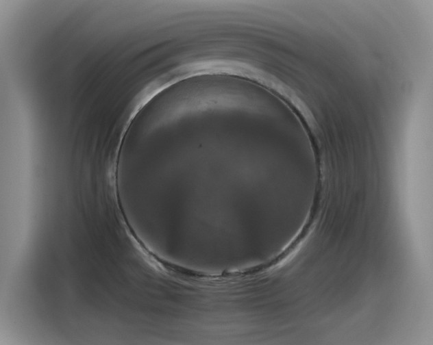 X0000115541529200911061450