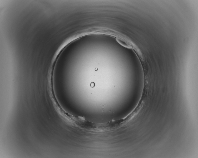 X0000115541530200911061450