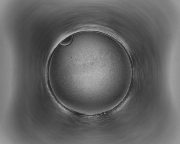 X0000115541533200911061450