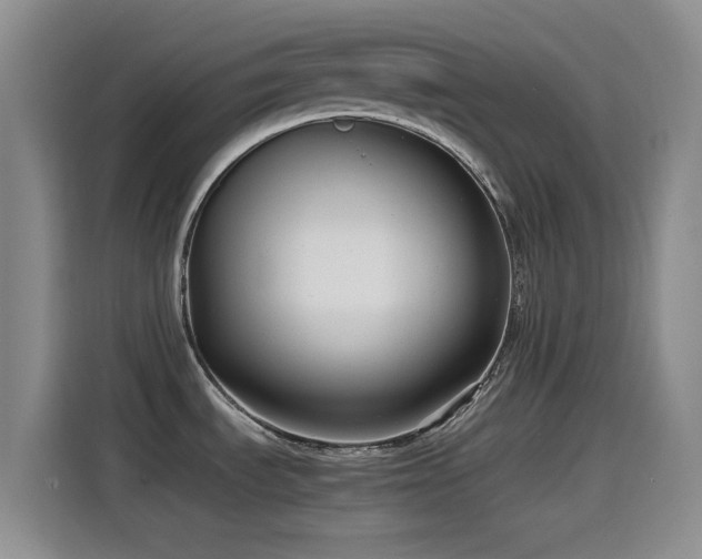 X0000115541535200911061450