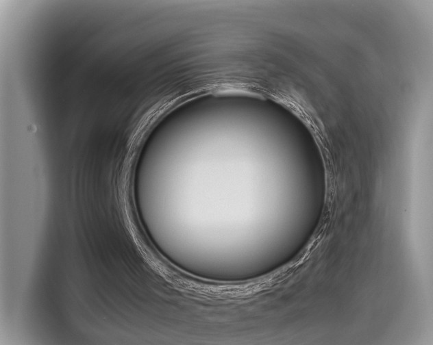 X0000115540001200911131553