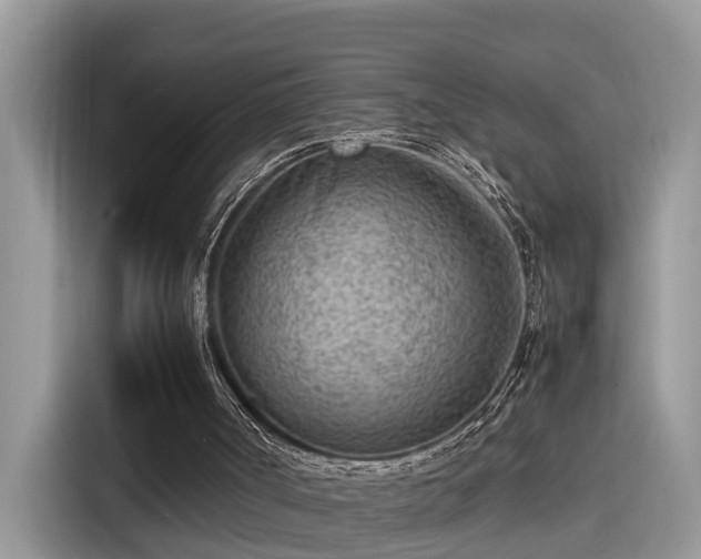 X0000115540002200911131553