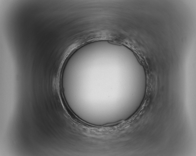 X0000115540003200911131553