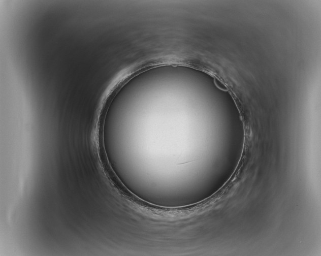 X0000115540006200911131553