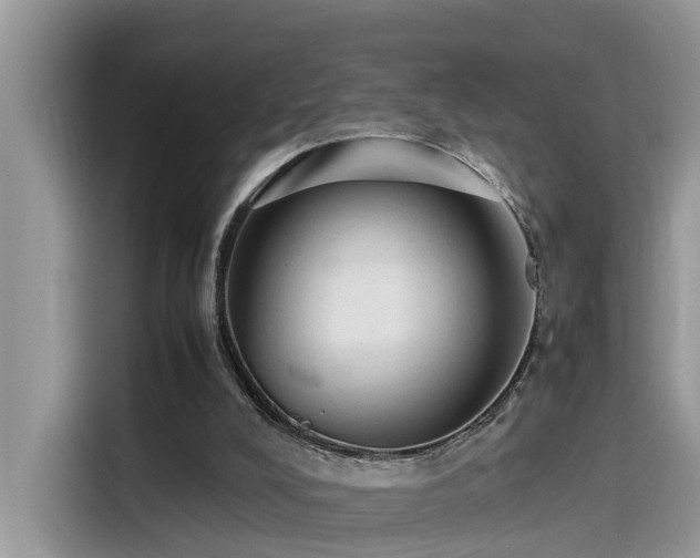 X0000115540008200911131553