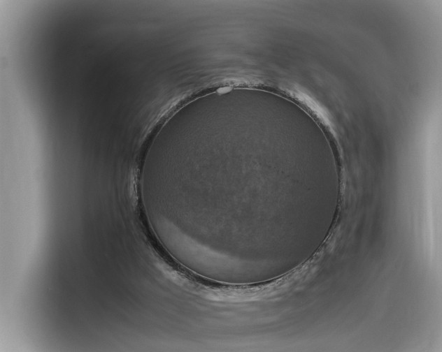 X0000115540009200911131553