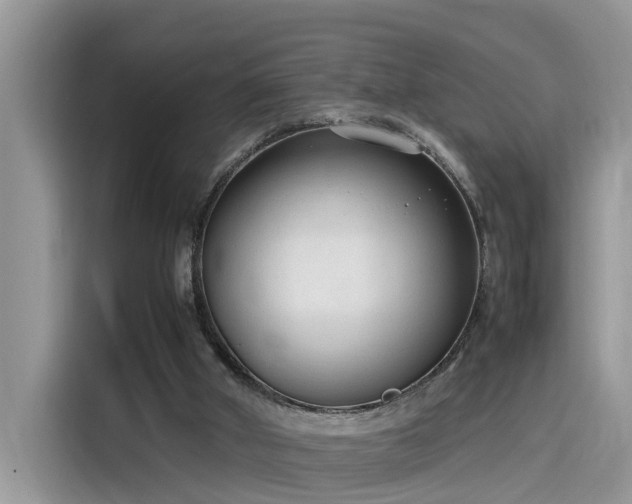 X0000115540010200911131553