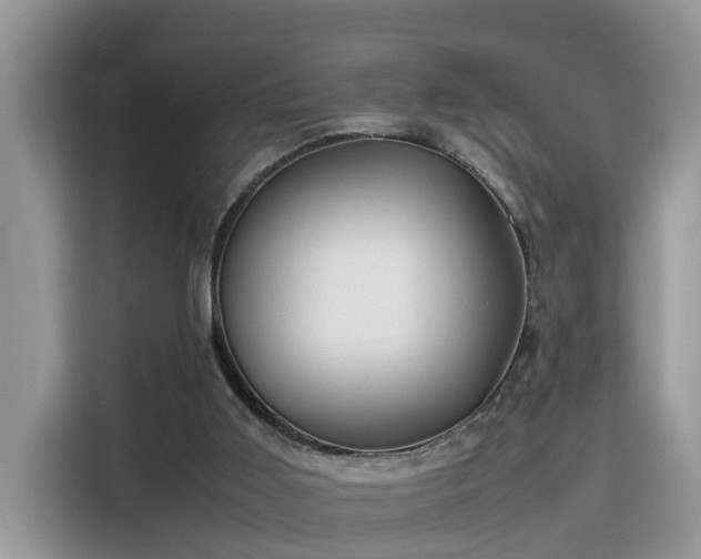 X0000115540011200911131553