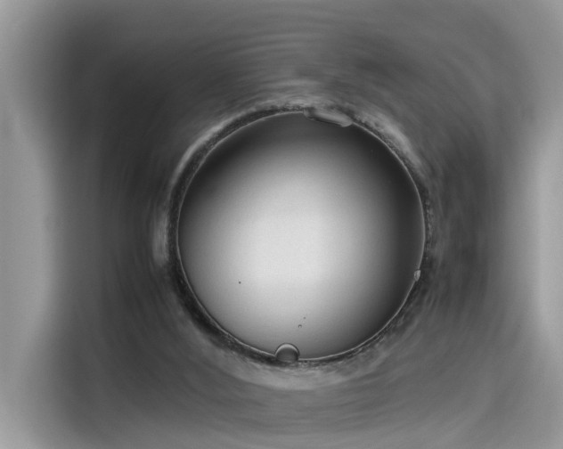 X0000115540012200911131553