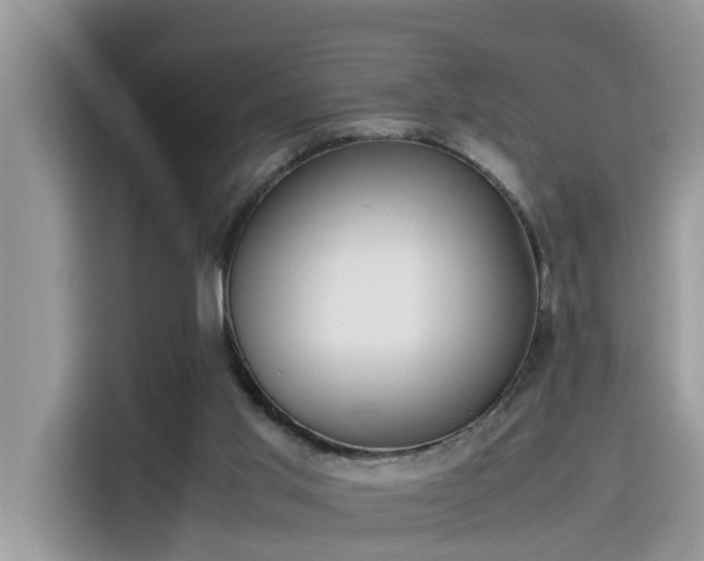 X0000115540013200911131553