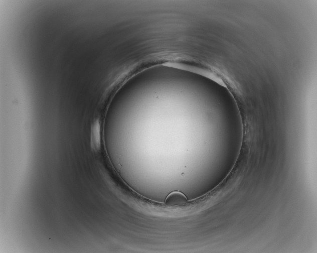 X0000115540014200911131553