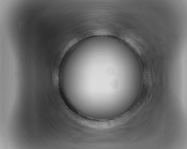 X0000115540015200911131553