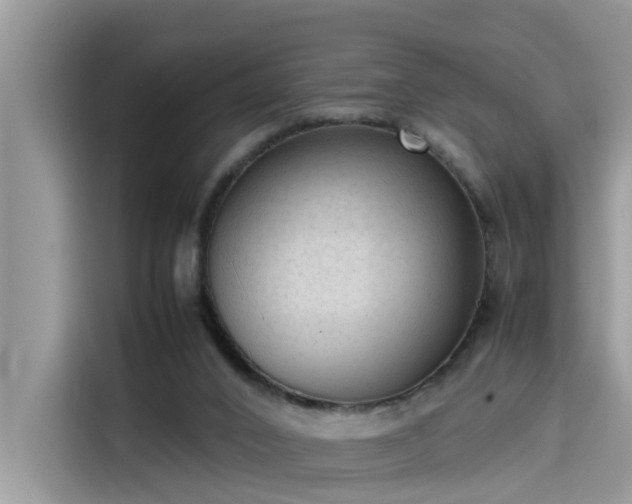 X0000115540016200911131553