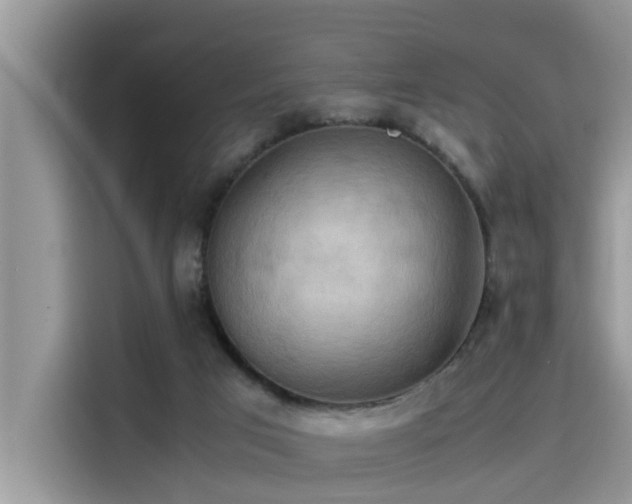 X0000115540017200911131553