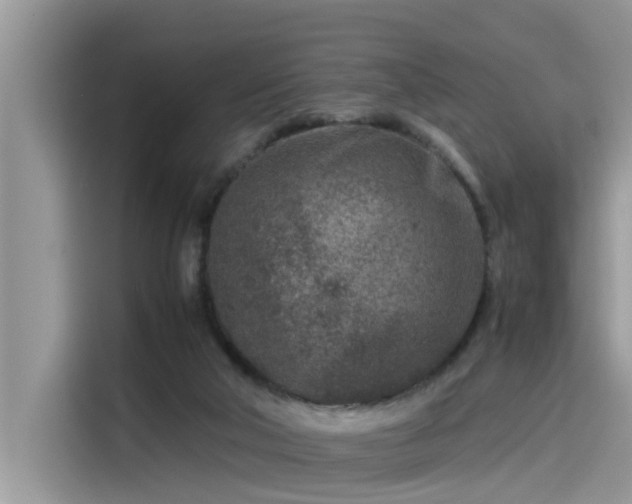 X0000115540018200911131553