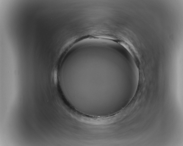 X0000115540019200911131553