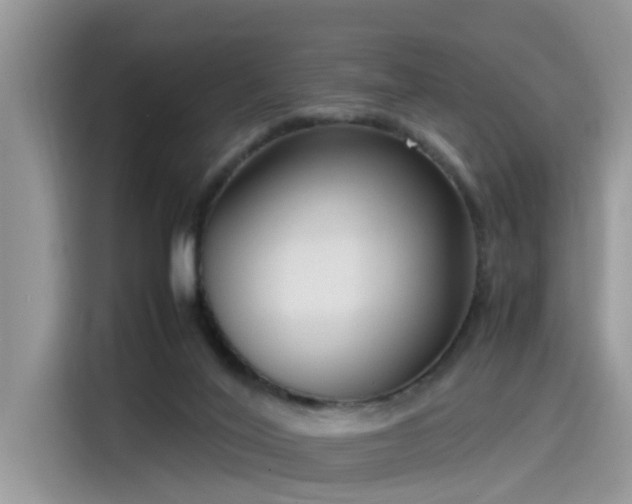 X0000115540020200911131553