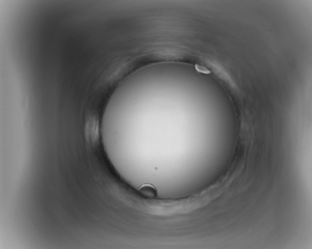 X0000115540021200911131553