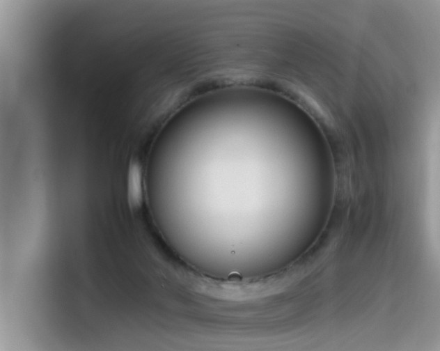 X0000115540022200911131553