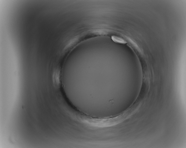 X0000115540023200911131553