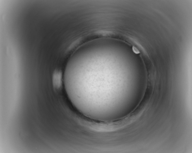 X0000115540024200911131553