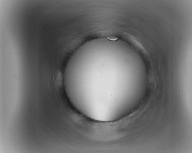 X0000115540025200911131553