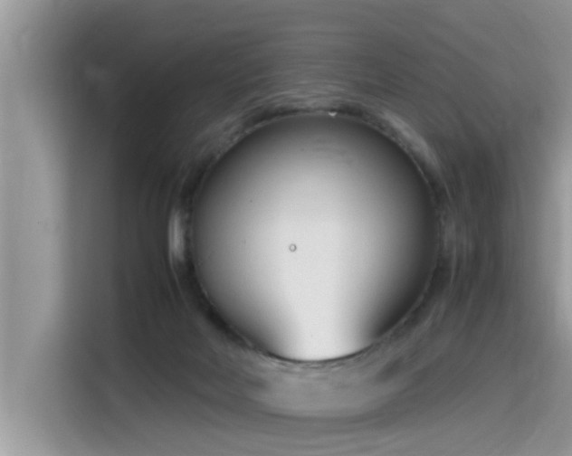 X0000115540026200911131553