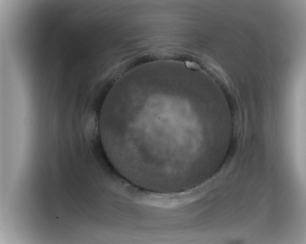 X0000115540029200911131553