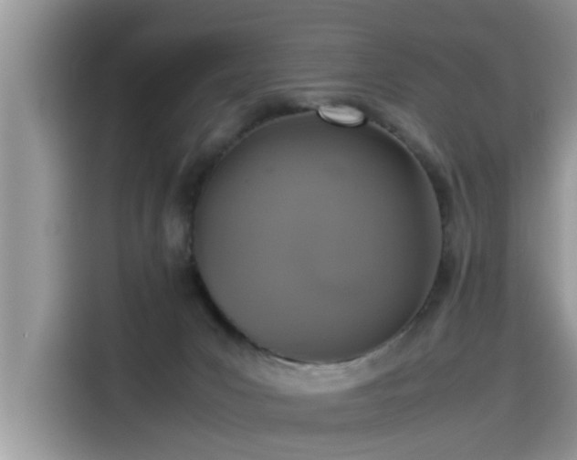 X0000115540031200911131553