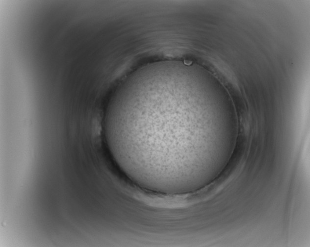 X0000115540032200911131553