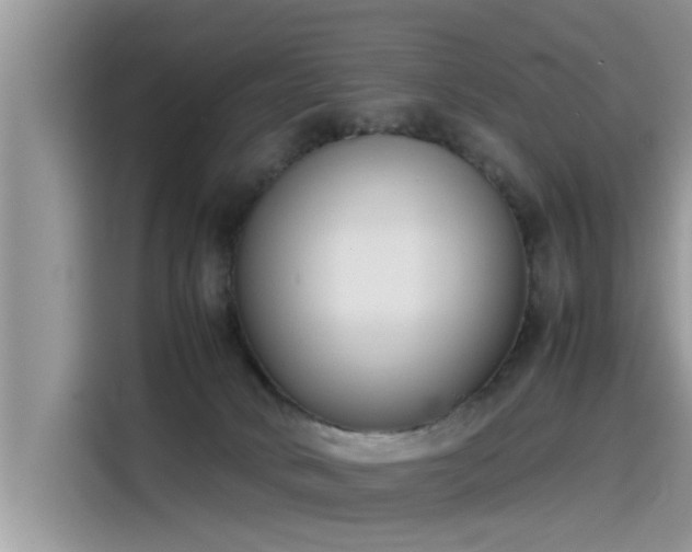 X0000115540034200911131553