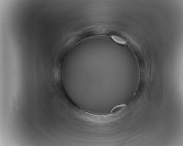 X0000115540035200911131553