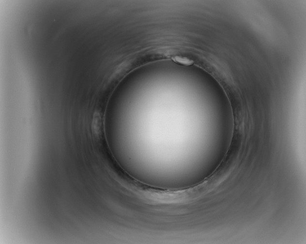 X0000115540036200911131553