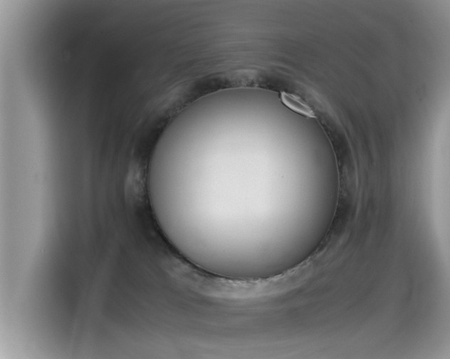 X0000115540037200911131553