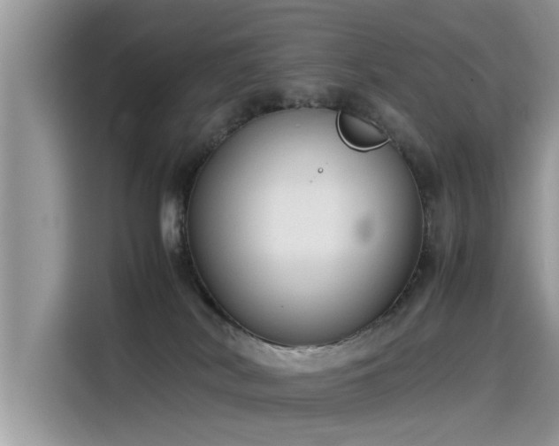 X0000115540038200911131553