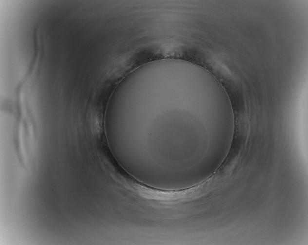 X0000115540039200911131553