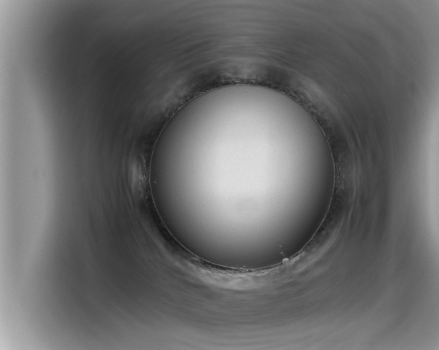 X0000115540040200911131553