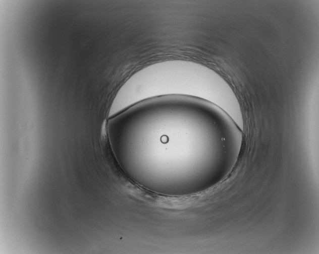 X0000115540041200911131553