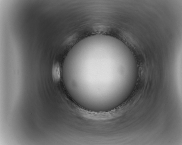 X0000115540042200911131553