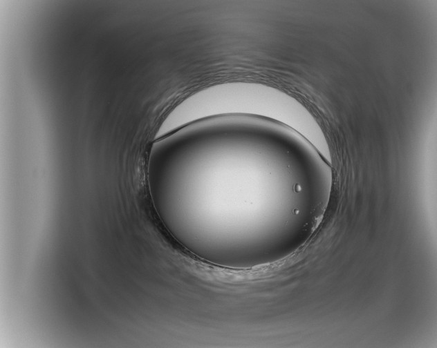 X0000115540043200911131553