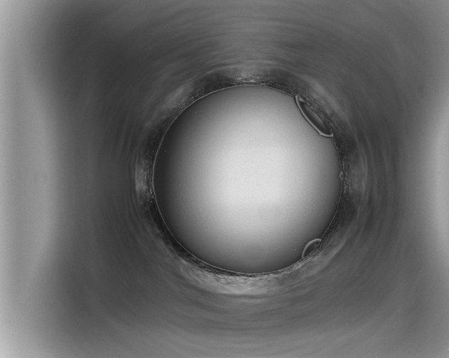 X0000115540044200911131553