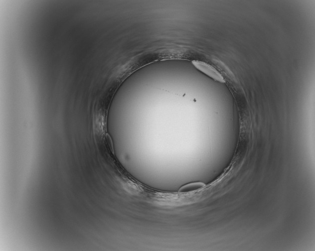 X0000115540045200911131553