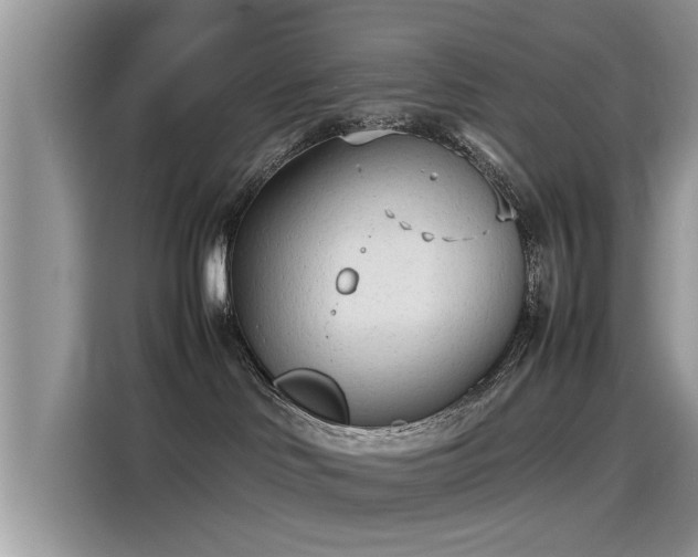 X0000115540046200911131553